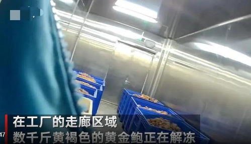 觸目驚心！大連海產品加工廠曝光2大食品黑科技，消費者需警惕識別